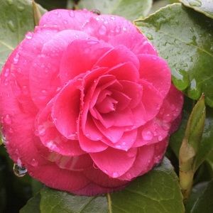 Meet your Posher, Paris